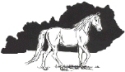 Mountain Pleasure Horse Association